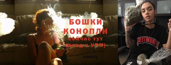 амф Верея