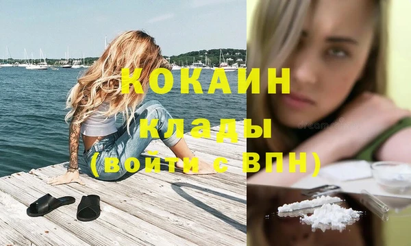амф Верея