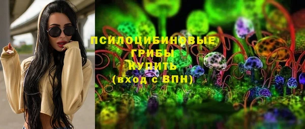 амф Верея