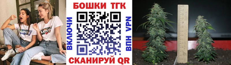 Канабис гибрид  Новопавловск 